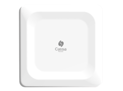 Cassia_Networks_E1000_gateway