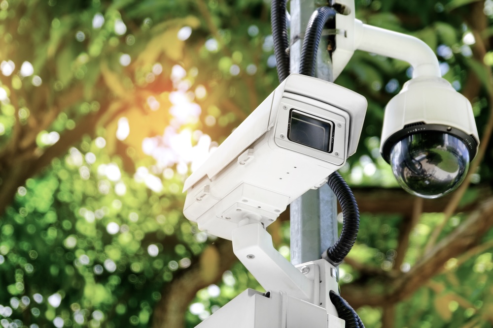 あらゆるカメラ